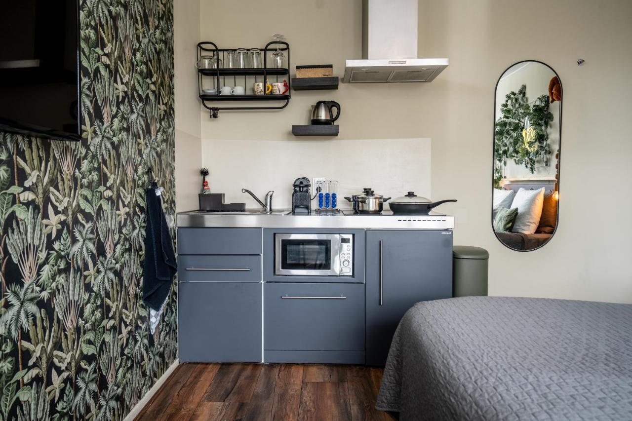 The Lion King - 6 Person Linked Apartment With Roof Terrace Γκρόνιγκεν Εξωτερικό φωτογραφία